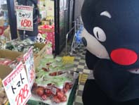 DSC_0333.jpgのサムネール画像
