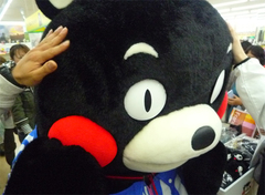 ku6.jpg