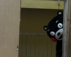 中宮小学校1.jpg