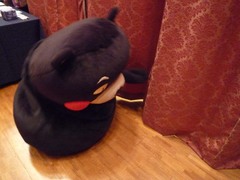 20120917001.jpg