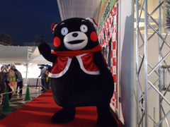 DSC_1006.jpg