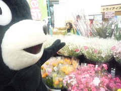 20121117saka002.jpg