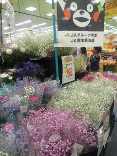 20121117saka004.jpg