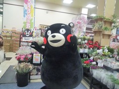 2012117saka008.jpg