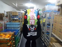 2012117saka010.jpg
