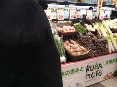 20121117kapu012.jpg