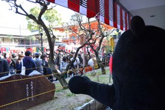20130203生田012.jpg