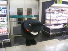 サンくま.JPG