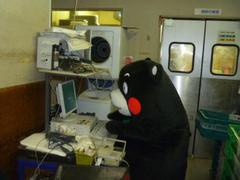 チェック.JPG