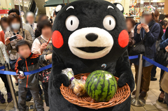 20130324熊本サラたまちゃんフェア005.jpg
