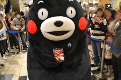 20130324熊本サラたまちゃんフェア006.jpg