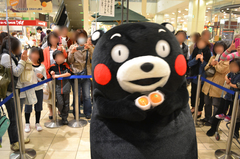 20130324熊本サラたまちゃんフェア007.jpg