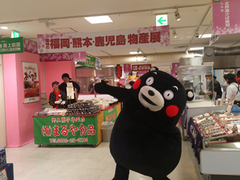 くま1.jpg
