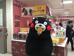 くま13.jpg