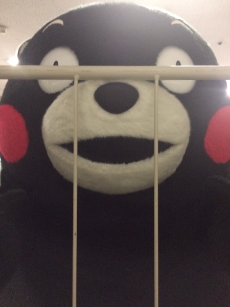 802CE4BA-04AD-43A4-BCD5-DEC5DC2EC93D.jpeg