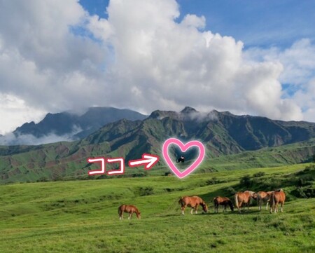 探せ答え（阿蘇）.JPG